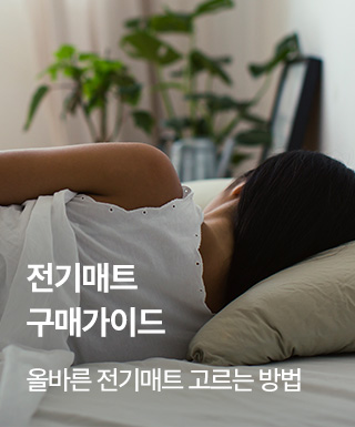 테마존 - 전기매트