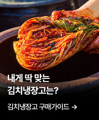 테마존 - 김치냉장고