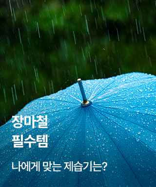 테마존 - 장마필수템