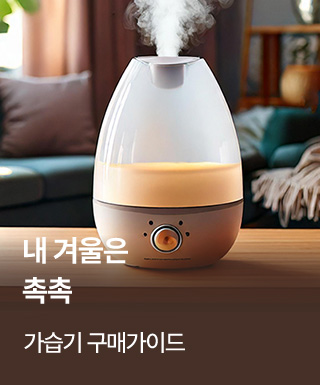 테마존 - 가습기