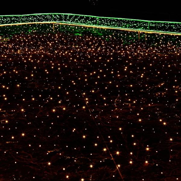 [도매토피아/TREE-00001] 오스타 LED 100구 투명선 웜색 줄전구 10m 무드 점멸