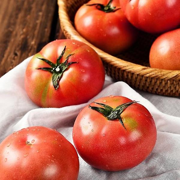 [자연예서/[초록자연] 완숙 토마토 2] [자연예서] 완숙 토마토 2.5kg (2번)