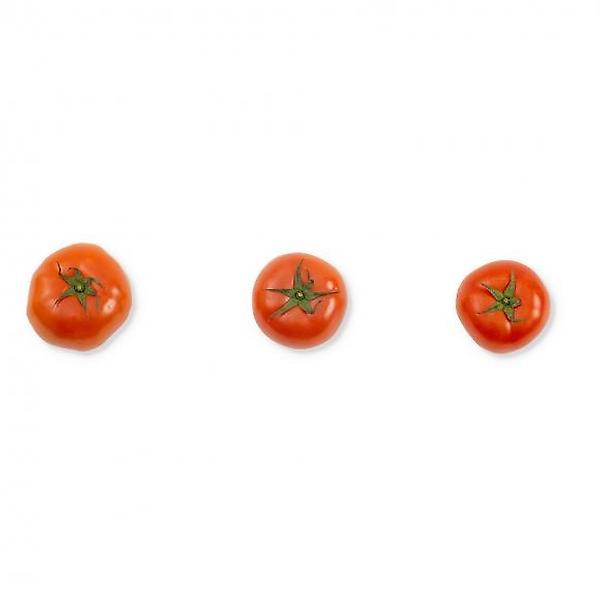 [자연예서/[초록자연] 완숙 토마토 5] [자연예서] 완숙 토마토 5kg (1번)