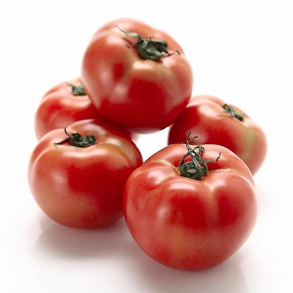 [자연예서/[초록자연] 완숙 토마토 5] [자연예서] 완숙 토마토 5kg (3번)