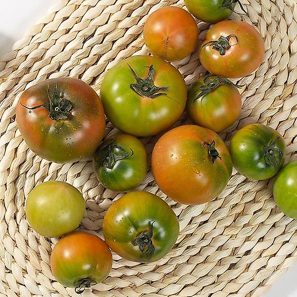 [자연예서/TREETF-00001] [자연예서] 대저 토마토 2.5kg(M)