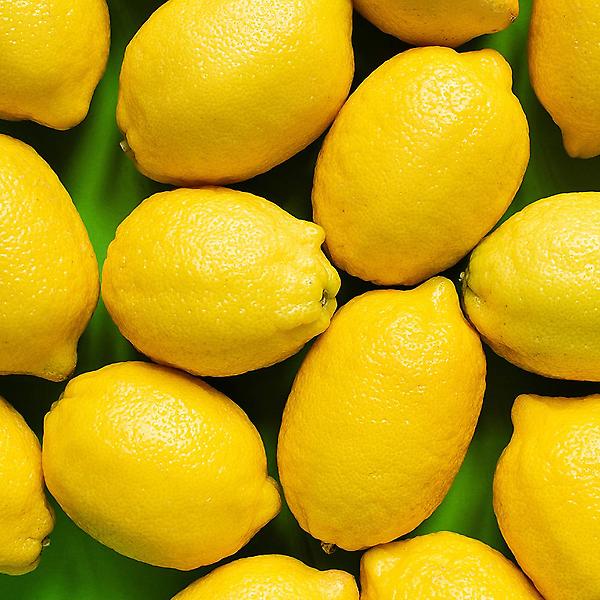 [자연예서/TREETF-00001] [자연예서] 미국산 레몬 4kg(30-35과) (중)