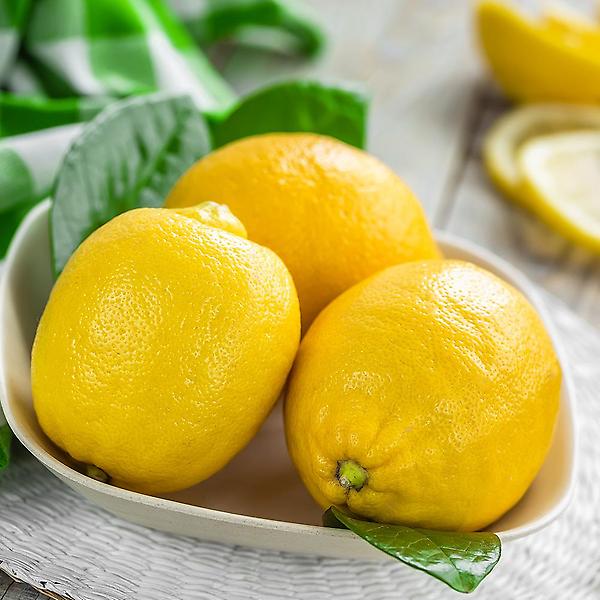[자연예서/TREETF-00001] [자연예서] 미국산 레몬 4kg(30-35과) (중)