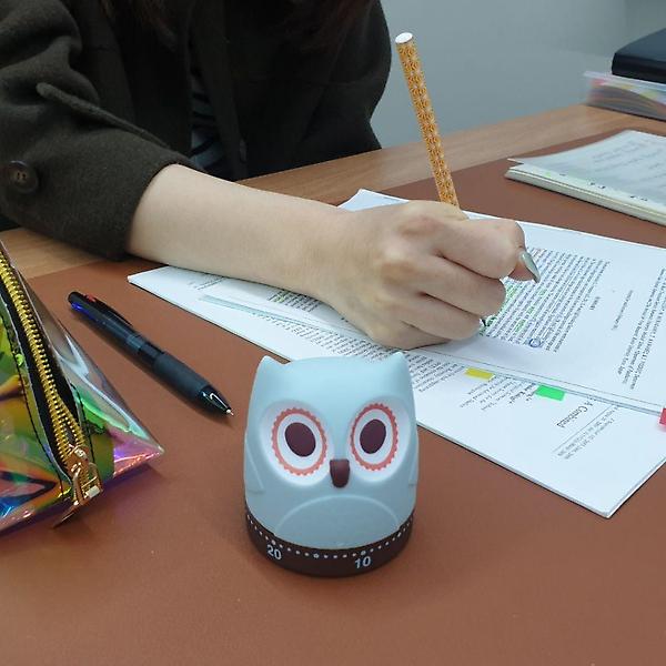  P1 아날로그 태엽 쿠킹 타이머 부엉이