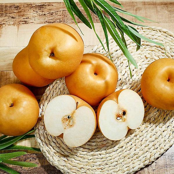  [자연예서] 신고 배 15kg(16-20과) (3가정용)상