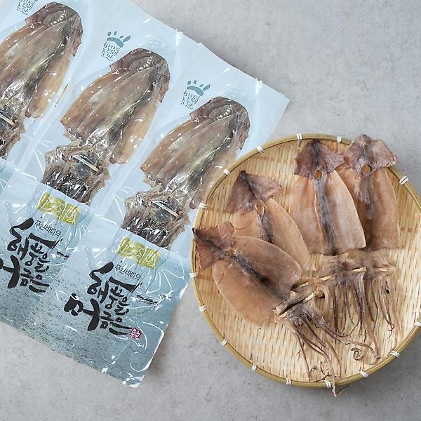  해살이 마른오징어 (2마리)