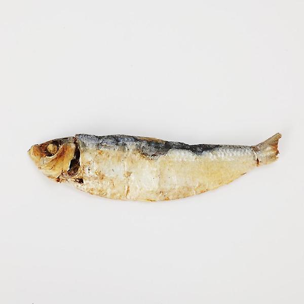  해살이 밴댕이 (1kg)