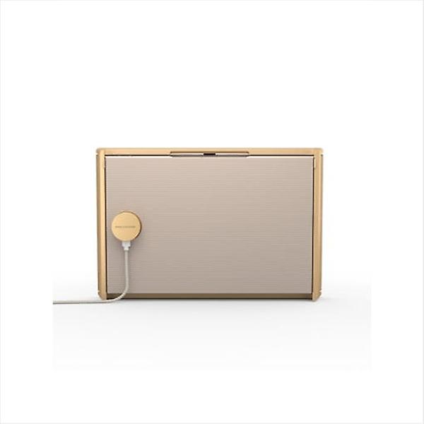  뱅앤올룹슨 BEOSOUND 레벨 Gold