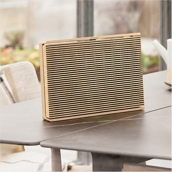  뱅앤올룹슨 BEOSOUND 레벨 Gold