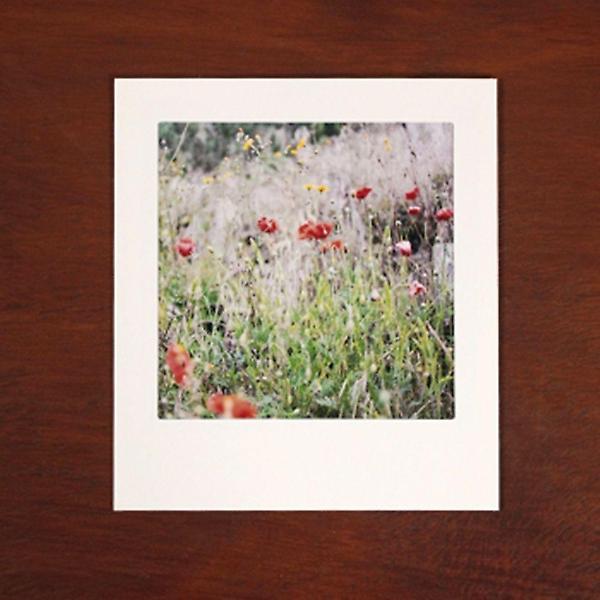  종이액자 5x5 화이트 10장