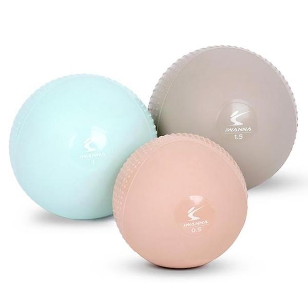  아이워너 소프트 토닝볼 1kg 2개입 웨이트볼 메디신볼