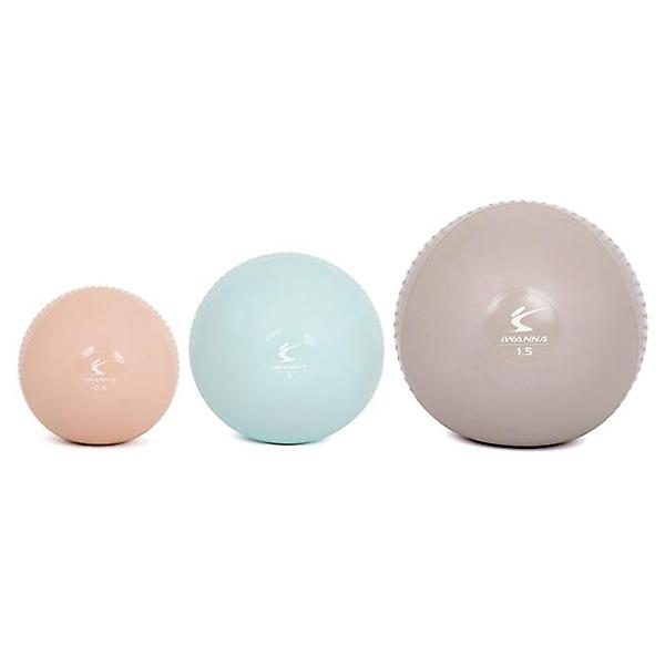  아이워너 소프트 토닝볼 1kg 2개입 웨이트볼 메디신볼