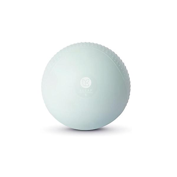  아리프 소프트 그립 토닝볼 1kg 2개입 메디신볼