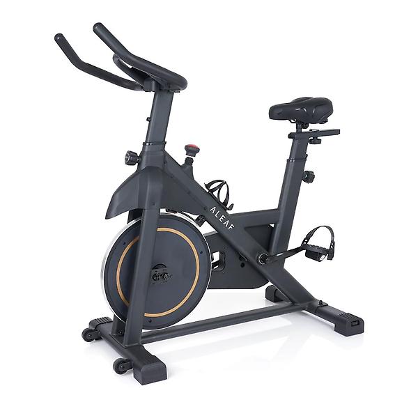  아리프 마그네틱 스피닝 바이크 