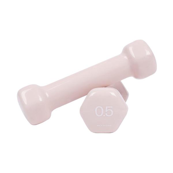  아이워너 PVC 뷰티 육각 덤벨 0.5kg 베이비핑크 예쁜 여자 아령 헬스 홈트