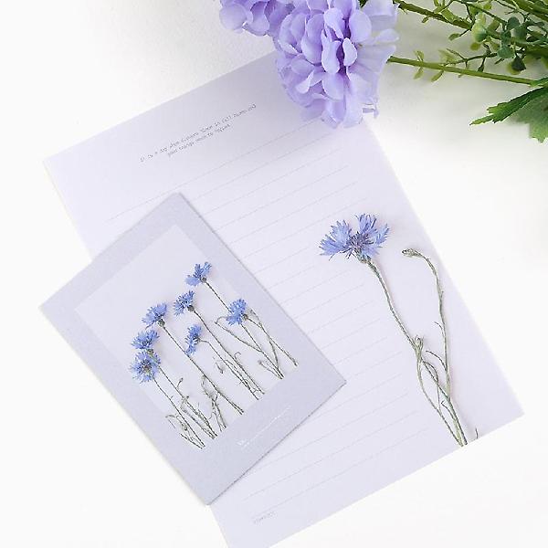  건물사이 피어난 꽃 편지지 4종세트