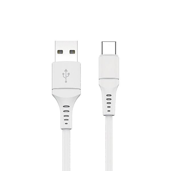  필로 C타입 고속 충전 데이터 케이블 3M (DSC3C01)