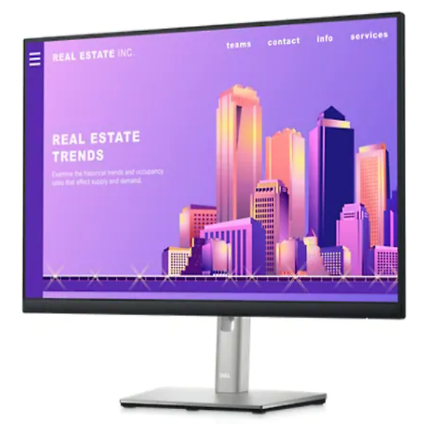 [DELL/P2422H/중동점] DELL P2422H 24인치 델 모니터 FHD IPS
