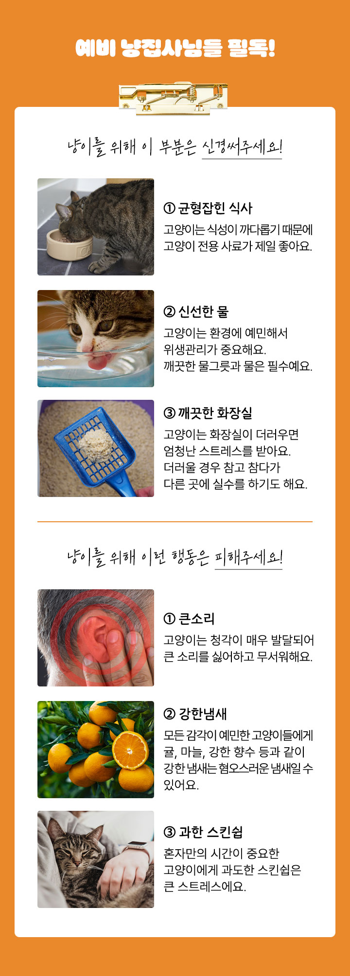 예비 냥집사님들 필독! 냥이를 위해 이 부분은 신경써주세요! 1.균형잡힌 식사: 고양이는 식성이 까다롭기 때문에 고양이 전용 사료가 제일 좋아요. 2. 신선한 물: 고양이는 환경에 예민해서 위생관리가 중요해요. 깨끗한 물그릇과 물은 필수예요. 3. 깨끗한 화장실 : 고양이는 화장실이 더러우면 엄청난 스트레스를 받아요. 더러울 경우 참고 참다가 다른 곳에 실수를 하기도 해요.냥이를 위해 이런 행동은 피해주세요! 1.큰소리 : 고양이는 청각이 매우 발달되어서 큰 소리를 싫어하고 무서워해요 2. 강한냄새 : 모든 감각이 예민한 공야이들에게 귤, 마늘, 강한 향수 등과 같이 강한 냄새는 혐오스러운 냄새일 수도 있어요. 3. 과한 스킨쉽 : 혼자만의 시간이 중요한 고양이에게 과도한 스킨쉽은 큰 스트레스에요.